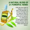 Wholesale 21 BLENDS HAIR REGROWTH OIL