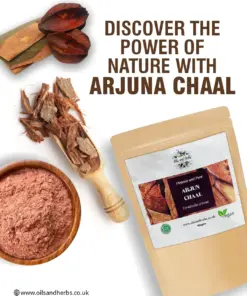 Wholesale Organic Arjuna Chaal Powder - Terminalia arjuna -100% Pure, Clean and Natural