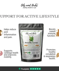 Wholesale High Strength Boswellia Serrata Extract Powder 5:1- 60 % Boswellic Acid