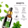 Wholesale Natural Basil Essential Oil 100% Pure and Therapeutic Grade