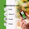 Wholesale Natural Basil Essential Oil 100% Pure and Therapeutic Grade