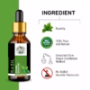 Wholesale Natural Basil Essential Oil 100% Pure and Therapeutic Grade