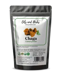 Wholesale High Strength Chaga extract powder 30% polysaccharide