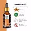 Wholesale Cinnamon Essential Oil 100% Pure and Undiluted