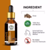 Wholesale Natural Clove Essential Oil 100% Pure