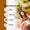 Wholesale Natural Clove Essential Oil 100% Pure