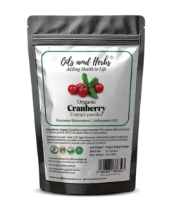 Wholesale Organic Cranberry Extract Powder – High in Anthocyanins & Lab-Tested Quality