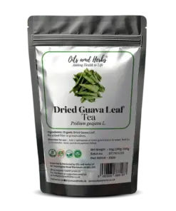 Wholesale Dried Guava Leaf Tea – Loose Herbal Leaves