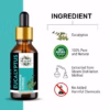 Wholesale Natural Eucalyptus Essential Oil 100% Pure & Therapeutic Grade