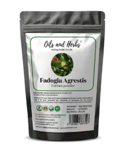 Wholesale High Strength Fadogia Agrestis Extract Powder 10:1