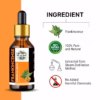 Wholesale Frankincense Essential Oil- 100% Pure and Natural