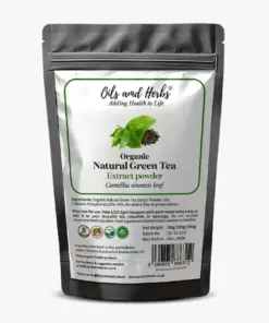 Wholesale Natural Green Tea Extract Powder 10:1 – 40% Polyphenols