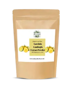 Wholesale Organic Garcinia Cambogia Extract Powder