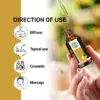 Wholesale Ginger Essential Oil 100% Pure and Natural