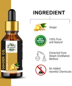 Wholesale Ginger Essential Oil 100% Pure and Natural
