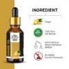 Wholesale Ginger Essential Oil 100% Pure and Natural