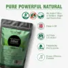 Wholesale High Strength Gudmar- Gymnema Sylvestre 1900MG
