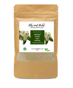 Wholesale Organic Inderjav Bitter Seed Powder Holarrhena Pubescens