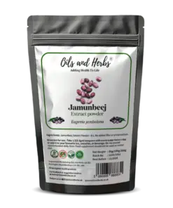 Wholesale Natural Jamun Extract Powder (Indian Blackberry) 10:1