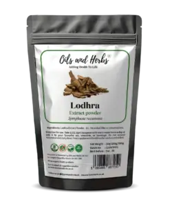 Wholesale High Strength Lodhra Extract Powder 8:1 Symplocos racemosa