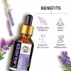 Wholesale Natural Lavender Essential Oil 100% Pure & Therapeutic Grade