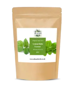 Wholesale Organic Lemon Balm Extract Powder 10:1