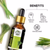 Wholesale Lemon grass essential oil - 100% Pure and Natural