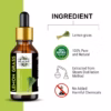 Wholesale Lemon grass essential oil - 100% Pure and Natural