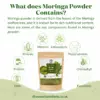 Wholesale Green Moringa Powder-100% Natural and Pure