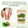 Wholesale Green Moringa Powder-100% Natural and Pure