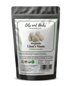 Wholesale Organic Lion Mane Mushroom Extract Powder 10:1