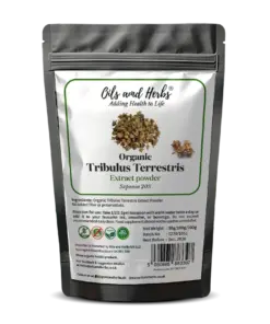 Wholesale Organic Tribulus Terrestris Extract Powder