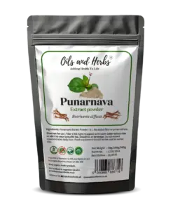 Wholesale High Strength Punarnava Extract Powder 8:1