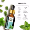Wholesale Natural Peppermint Essential Oil 100% Pure and Therapeutic Grade