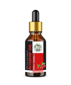 Wholesale Rosehip Essential Oil 100% Pure and Natural