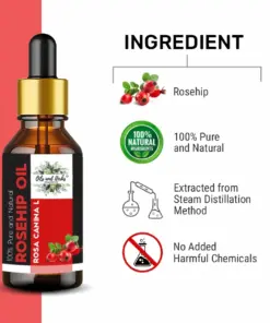 Wholesale Rosehip Essential Oil 100% Pure and Natural