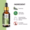 Wholesale Natural Rosemary Essential Oil For Hair Growth, Skin and Body