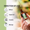 Wholesale Natural Rosemary Essential Oil For Hair Growth, Skin and Body