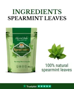 Wholesale Natural Spearmint Leaf Tea