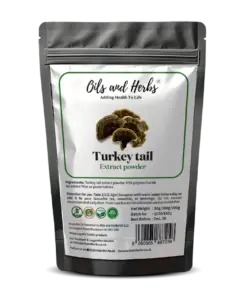 Wholesale Organic Turkeytail Extract powder
