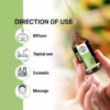 Wholesale Natural Tea Tree Essential Oil 100% Pure and Therapeutic Grade