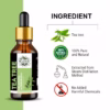 Wholesale Natural Tea Tree Essential Oil 100% Pure and Therapeutic Grade