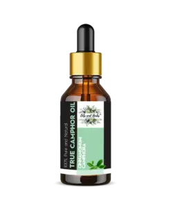 Wholesale True Camphor Essential Oil 100% Pure and Natural