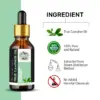 Wholesale True Camphor Essential Oil 100% Pure and Natural