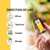 Wholesale Turmeric Essential Oil-100% Pure and Natural