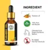 Wholesale Turmeric Essential Oil-100% Pure and Natural