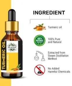 Wholesale Turmeric Essential Oil-100% Pure and Natural