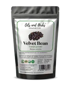 Wholesale Velvet Bean Extract Powder 10:1