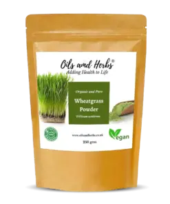 Wholesale Clean Organic Wheatgrass Powder for Juice