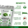 Wholesale Organic Soursop Dried Leaves and Tea bags (Graviola Leaves)
